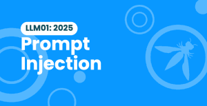 OWASP illustration for prompt injection risk